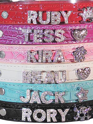 dekoratiivkaelarihm-teie-koera-nimega-1-10.jpg Punane dekoratiivkaelarihm Teie koera nimega