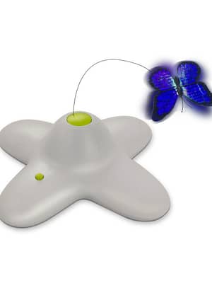 interaktiivne-maeng-kassidele.jpg Interaktiivne mäng kassidele