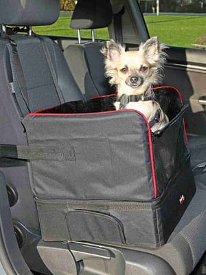 iste11 Autoiste väikest kasvu koerale kaaluga kuni 6 kg.