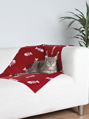 kassi-tekk-100-x-70-cm.jpg Kassi tekk 100 x 70 cm.