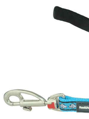 kassi traksid Helkuritega türkiissinised traksid+jalutusrihm kassile