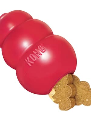 kong-classic.jpg Kong Classic