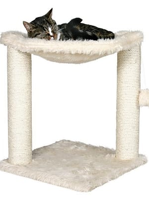 kratsimisalus-pesa-baza.jpg Kratsimisalus-pesa Altea