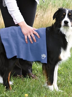 mikrofiibrist-kateratik-koertele-.jpg Mikrofiibrist käterätik koertele