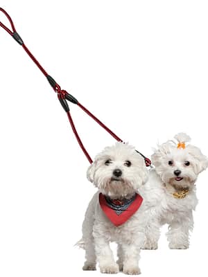 mittetakerduv-kahe-koera-jalutusrihm-5.jpg Nailonist kahe koera jalutusrihm XS -M