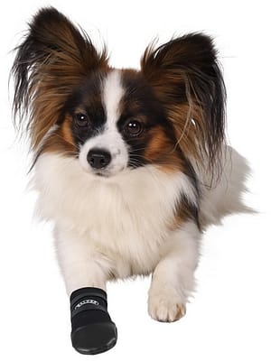 neopreenist-kapakaitsmed-2-tk.jpg Käpakaitsmed 2 tk.