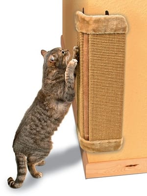 nurga-kratsimislaud-60-cm.jpg Nurga kratsimislaud beež 23 x 49 cm.