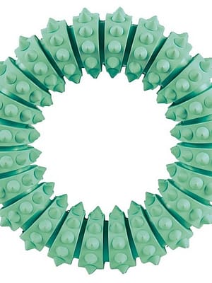 piparmundimaitseline-rngas-narimiseks.jpg Piparmündimaitseline rōngas närimiseks