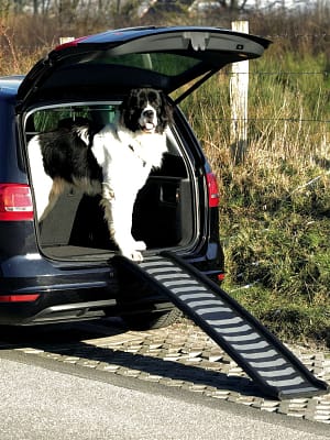 plastikust-ramp-koertele-kuni-70-kg.jpg Plastikust ramp koertele kuni 70 kg.