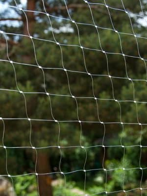 rõduvõrk Rõduvõrk