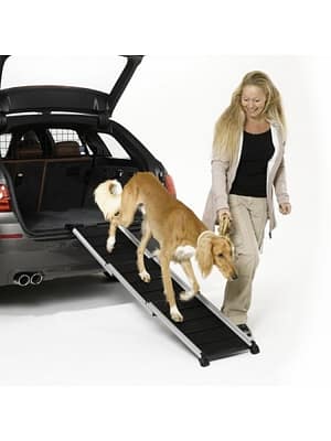 teleskoopramp-.jpg Teleskoopramp DogWalk 3