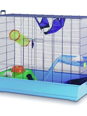 tuhkrule-voi-rotile-puur.jpg Tuhkrule või rotile puur