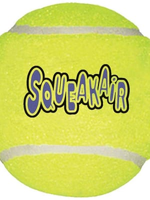 ujuv-poi.jpg The KONG AirDog Squeakair Ball