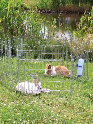 aedik katteta Näriliste õueaedik läbimõõt 126 cm. x kõrgus 58 cm.