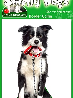 Border-Collie Õhuvärskendaja - Border collie