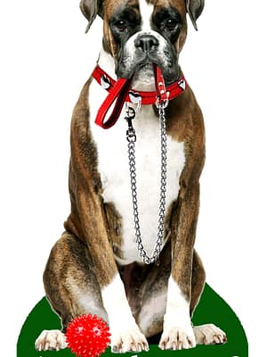 Boxer-Brindle Õhuvärskendaja - Bokser (brindle)