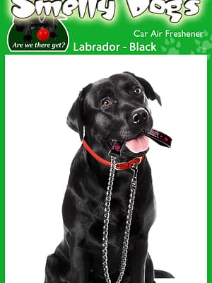 Labrador-Black Õhuvärskendaja - Must labrador retriiver