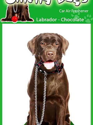 Labrador-chocolate Õhuvärskendaja - Pruun labrador retriiver