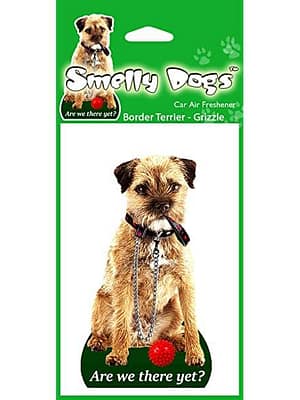 border grizzle Õhuvärskendaja - Border terjer (grizzle)