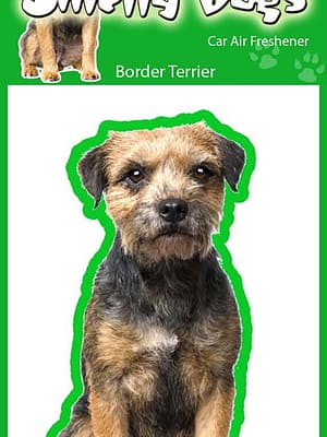 border terjer Õhuvärskendaja - Border terjer