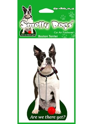 boston terjer Õhuvärskendaja - Bostoni terjer