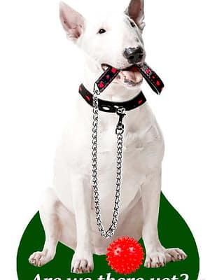 bullikas2 Õhuvärskendaja - Bullterjer ( valge )