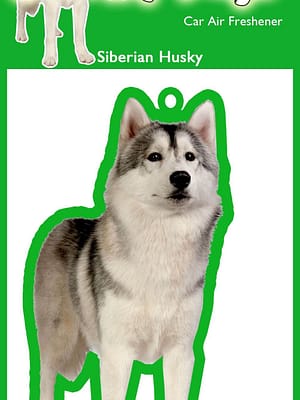 husky Õhuvärskendaja - Husky