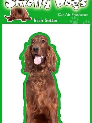 irish_setter Õhuvärskendaja - Iiri setter
