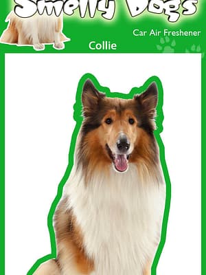 kolli Õhuvärskendaja - Pikakarvaline kolli