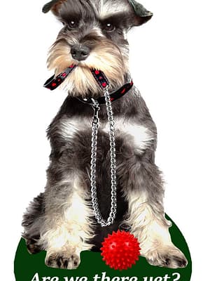 kääbusšnautser Õhuvärskendaja - Kääbusšnautser