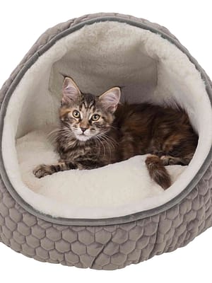 livia Koobaspesa Livia läbimõõt 45 cm.