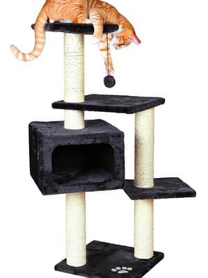 palamos Ronimispuu Palamos - kõrgus 109 cm.