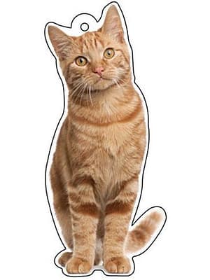 punane kass Õhuvärskendaja - punane kass