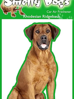 rodesian ridgeback Õhuvärskendaja - Rodesian ridgeback