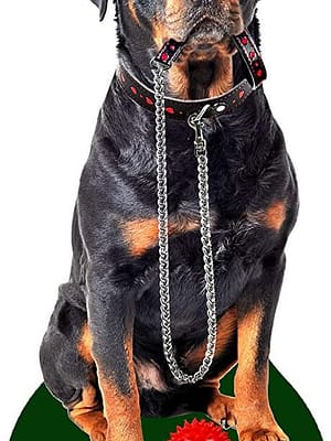 rotikas Õhuvärskendaja - Rottweiler