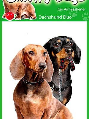 taksid Õhuvärskendaja - Lühikarvalised taksid