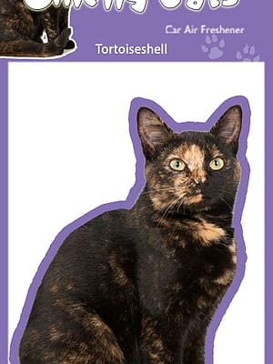 tortoiseshell kass Õhuvärskendaja - Tortoiseshell-kass