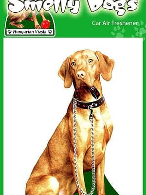 vizla Õhuvärskendaja - Ungari Vizla