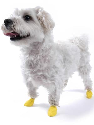 XX-Small PAWZ kummipapud XXS  12 tk.