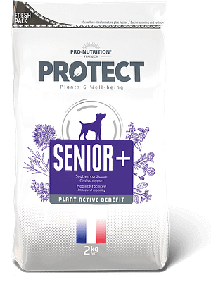 12 kg. Protect Senior + erisööt eakatele koertele
