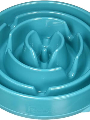 slo feeder Aeglasemalt söömise sööginõu  suurt-ja keskmist kasvu koertele