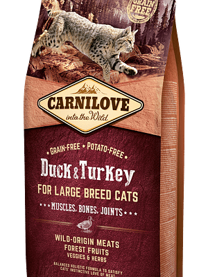 4265_602b6a6c5e4a27.45597648_CL_cat_duck_turkey_6kg_3D.png 6 kg. CarniLove teravilja-ja kartulivaba täissööt suurt kasvu täiskasvanud kassidele pardi-ja kalkunilihaga