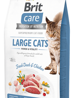 7650_6024b3bae59e38.44303280_18461_BCC_Dry_food_7kg_LARGE_CATS.png 7 kg. Brit Care teraviljavaba täissööt suurt kasvu täiskasvanud kassidele pardi-ja kanalihaga