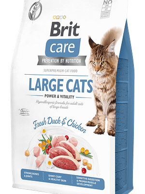 7662_6024b2435c0863.66110347_18461_BCC_Dry_food_2kg_LARGE_CATS.png 2 kg. Brit Care teraviljavaba täissööt suurt kasvu täiskasvanud kassidele pardi-ja kanalihaga