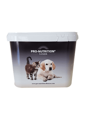 Container pro Nut détouré Plastikust toidutünn 10.9 L.