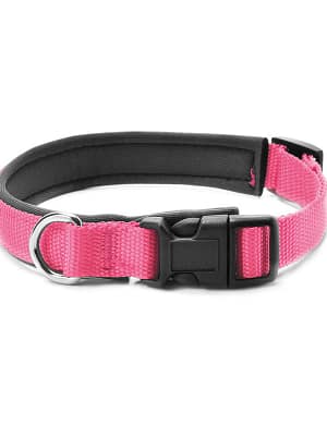 6244_62457141eb6be5.05006925_kaelarihm.jpeg Record roosa kaelarihm koerale 2,5 x 50-60 cm.