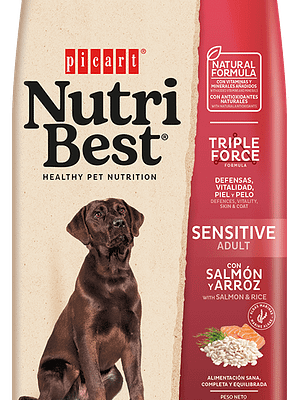 salmon 3 kg. NutriBest täissööt keskmist-ja suurt kasvu täiskasvanud koertele lõhe ja riisiga