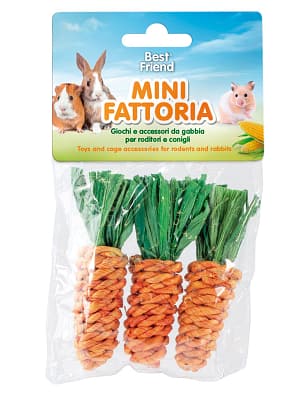 8011391766415.jpg Record mänguasi Porgand närilistele 3 x 8 cm.