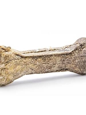 lõhega kont Kimo naturaalsed teraviljavabad närimiskondid suurt kasvu täiskasvanud koertele lõhe ja pullipeenisega 17 cm. x 2 tk.