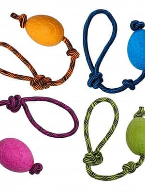 pallid Kiwi Walker Let’s Play! Egg nööriga pall